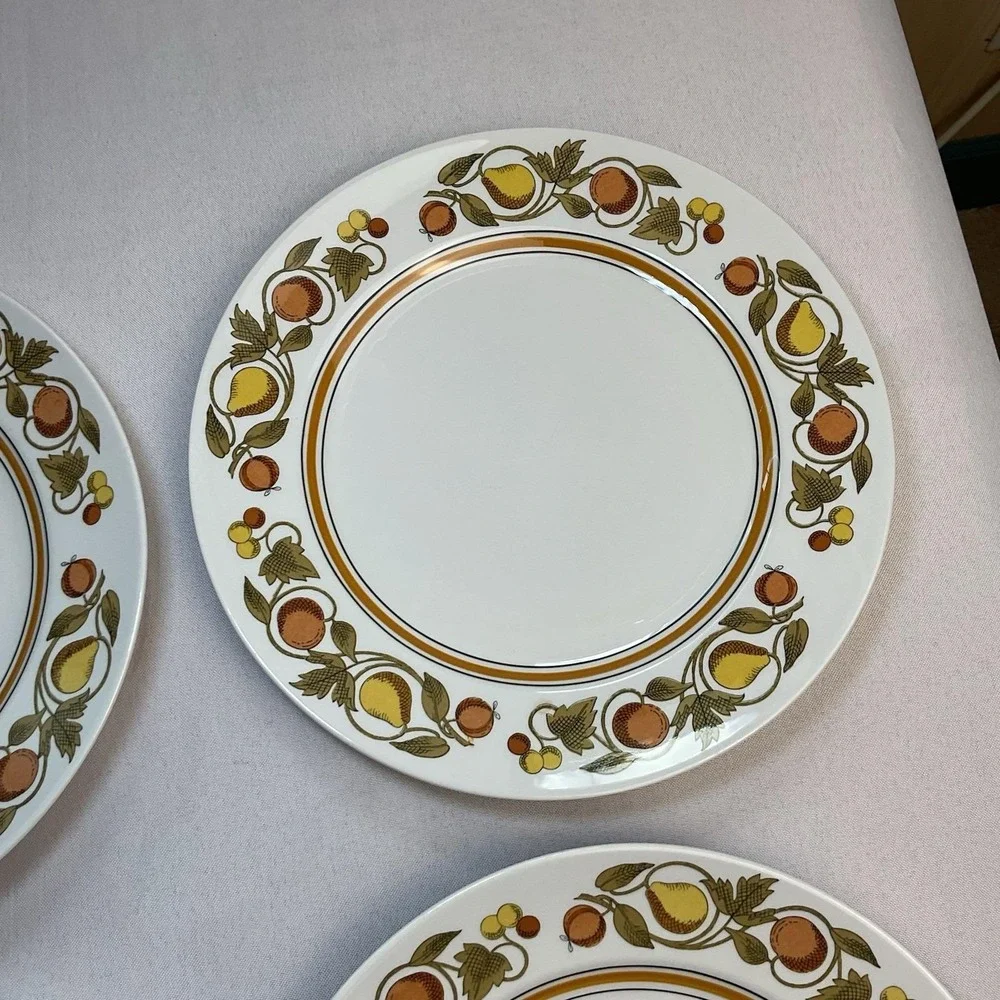Vintage Franciscan Pickwick Dinner Plates Set of 4 1970s Fruit Pattern Japan